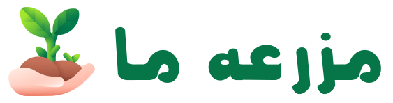 mazraema